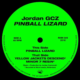 Pinball Lizard by Jordan GCZ