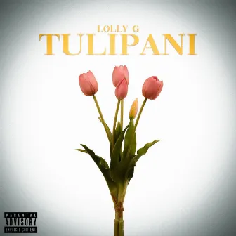 Tulipani by Lolly G