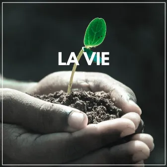 La Vie by Sons de la nature