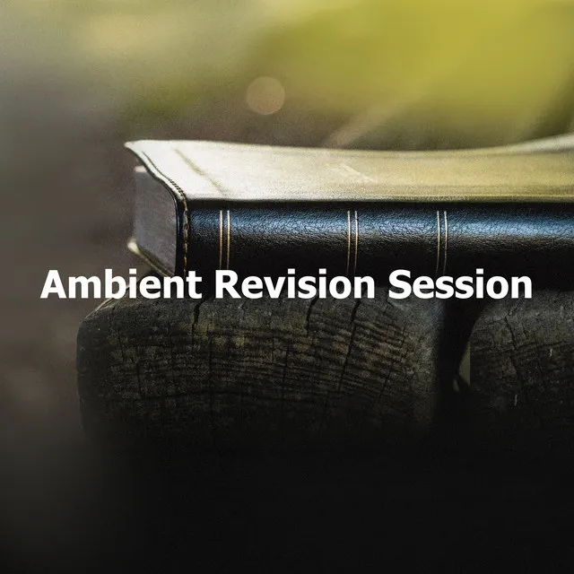 Ambient Revision Session