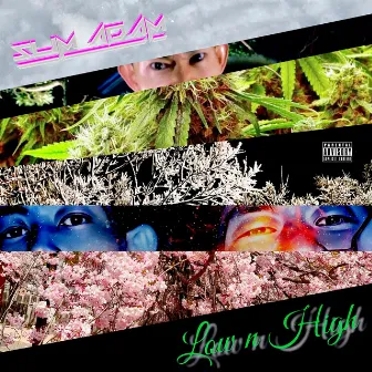 Low n High by SLIM ADAM