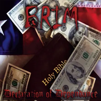 Declaration Of Dependance by Brim