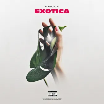 Exotica by Naicok