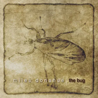 The Bug by Miles Donahue