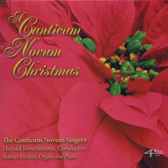 A canticum novum Christmas by Harold Rosenbaum