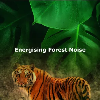 Energising Forest Noise by Rainforest Music Therapy