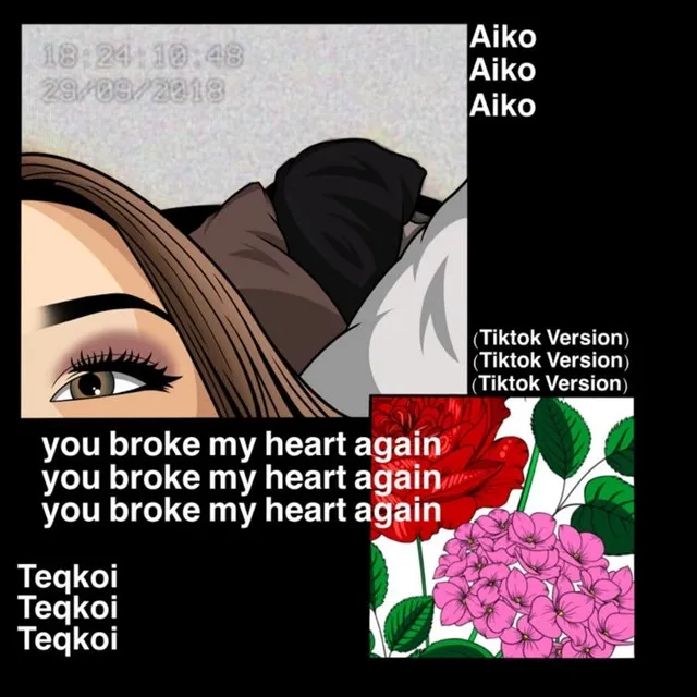 You Broke My Heart Again - TikTok Version