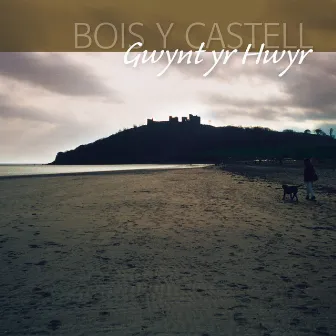 Gwynt Yr Hwyr by Bois Y Castell