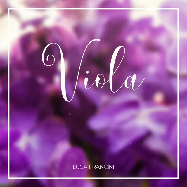 Viola