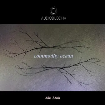 Commodity Ocean by Audio Buddha