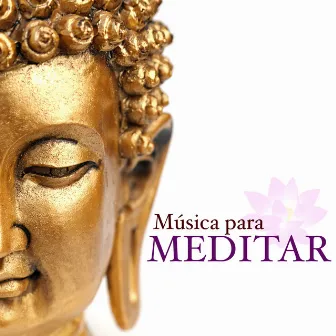 Musica para Meditar - Musica Tibetana y Sonidos de la Naturaleza by Everything's Fine