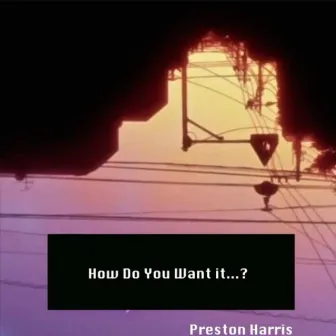 How Do You Want It by Preston Harris