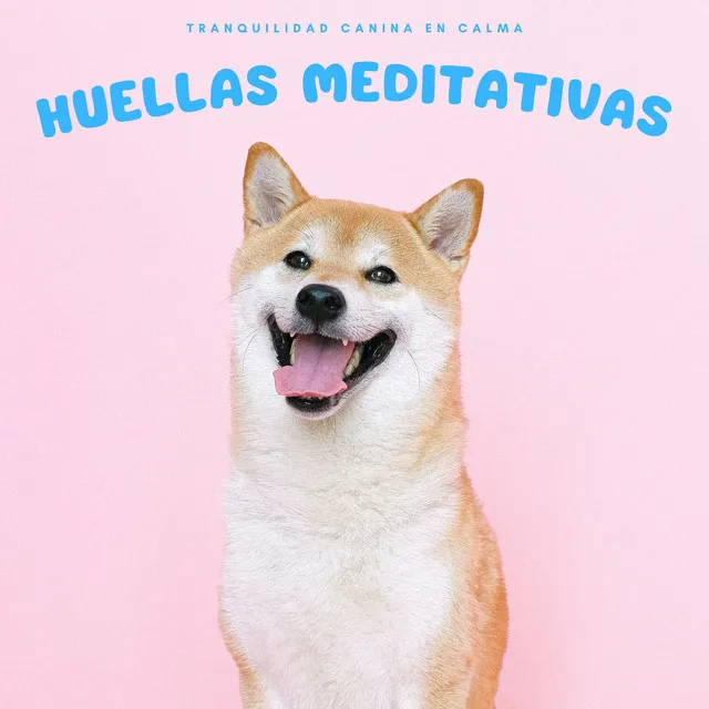 Meditación Calmada Para Caninos