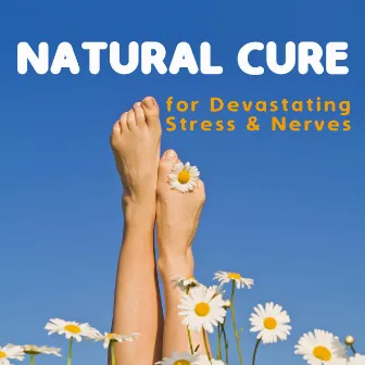 Natural Cure for Devastating Stress & Nerves by Peaceful Mind Music Consort