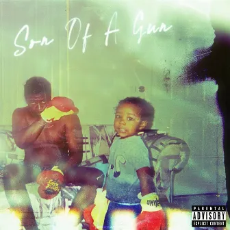 Son of a Gun by Ray V