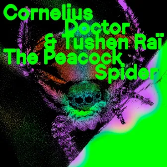 The Peacock Spider by Cornelius Doctor