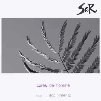 Cores da Floresta: Acolhimento by Grupo Ser