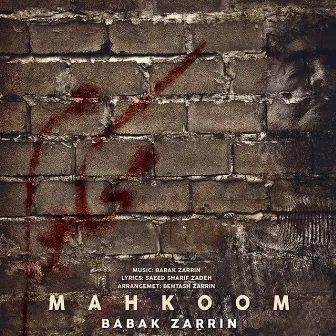 Mahkoom by Babak Zarrin