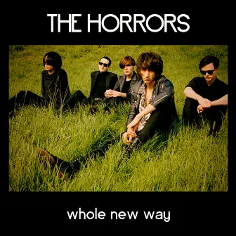 Whole New Way by The Horrors