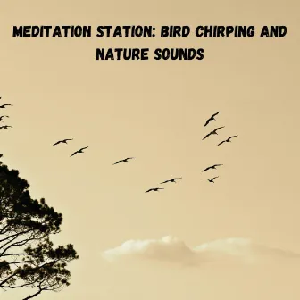 Meditation Station: Bird Chirping and Nature Sounds by Climate Hive