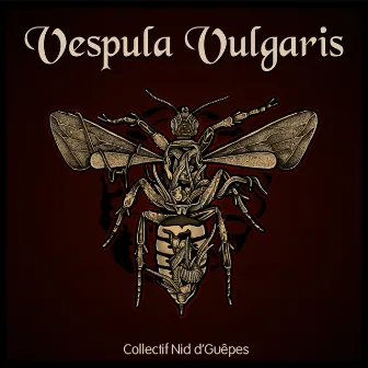 Vespula Vulgaris by Collectif nid d'guêpes