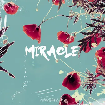 Miracle by Fast Blurry