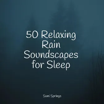 50 Relaxing Rain Soundscapes for Sleep by Easy Sleep Music