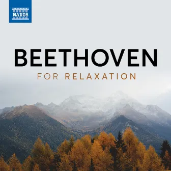 Beethoven For Relaxation by Ida Bieler