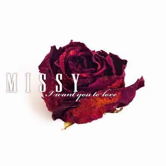 I Want You To Love by MISSY