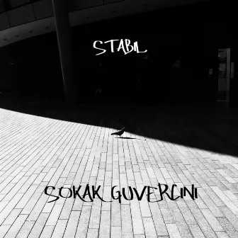 Sokak Güvercini by Stabil