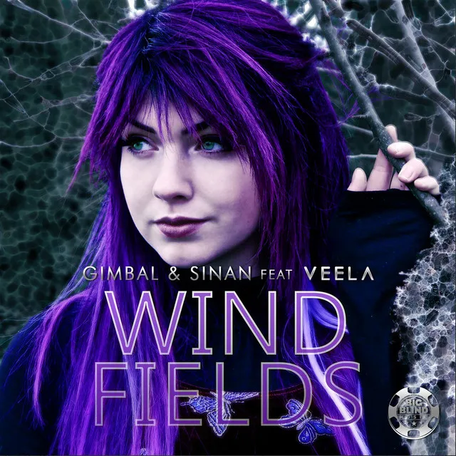 Windfields - Sinan K.Remix