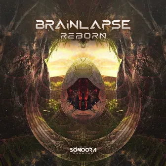 Reborn by Brainlapse