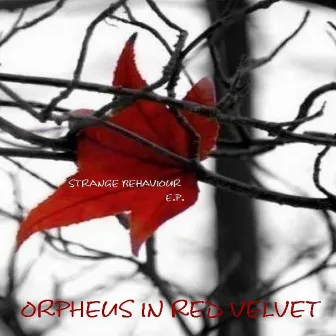 Strange behaviour EP by Orpheus in red velvet