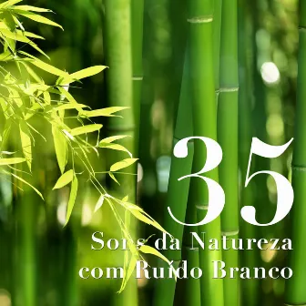 35 Sons da Natureza com Ruído Branco by All Night Long Noise