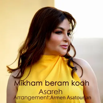 Mikham Beram Kooh by Asareh