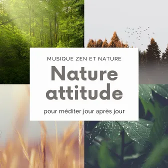 Nature attitude - Musique zen et nature pour méditer jour après jour by Madame Tuina Zen