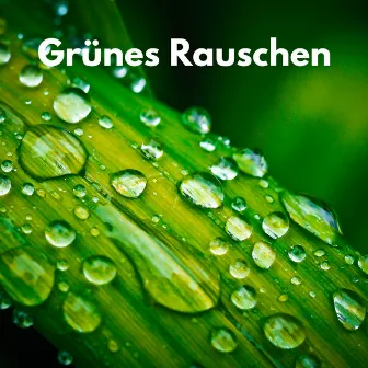 Grünes Rauschen by Geist des weißen Rauschens