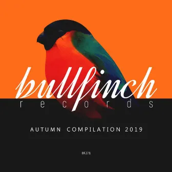 Bullfinch Autumn 2019 Compilation by Mister Howington