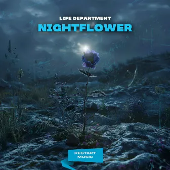 Nightflower by Life Department