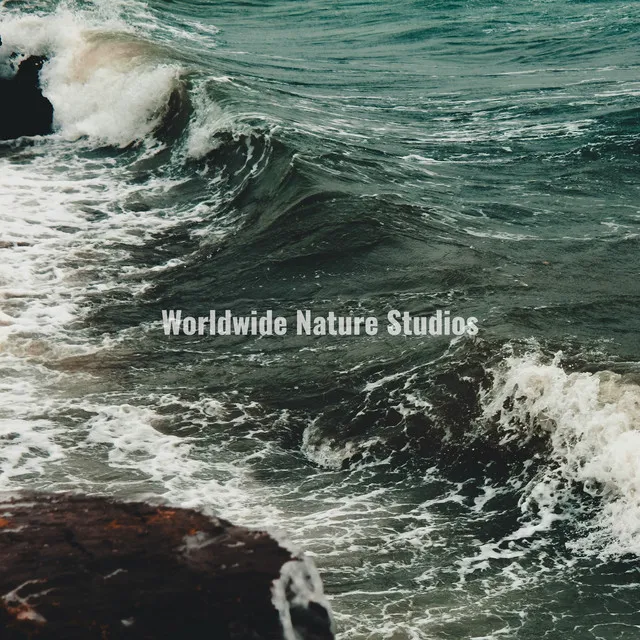 Worldwide Nature Studios