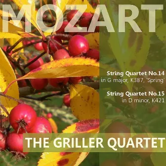 Mozart: String Quartet No. 14 in G Major 