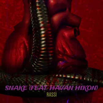 Snake by Rassi