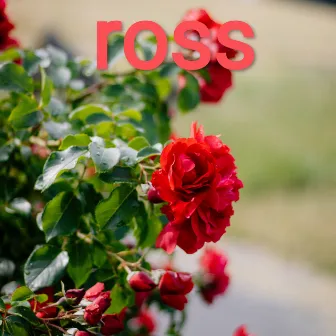 Hanya Kamu Yang Bisa by Ross