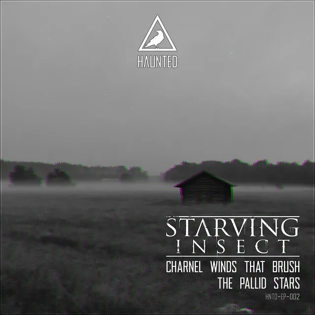 Pallid Stars