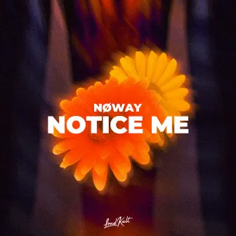 Notice Me by Nøway