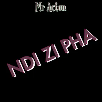 Ndizipha by Unknown Artist