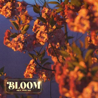 Bloom by Jae K