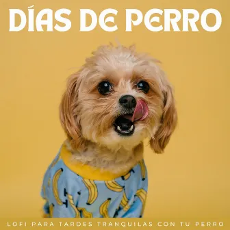 Días De Perro: Lofi Para Tardes Tranquilas Con Tu Perro by Juegos Lofi