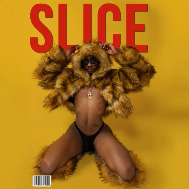 SLICE