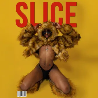 SLICE by Derrick Lumiere